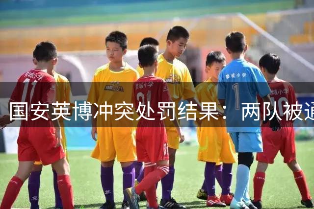 国安英博冲突处罚结果：两队被通报 多人遭禁赛罚款